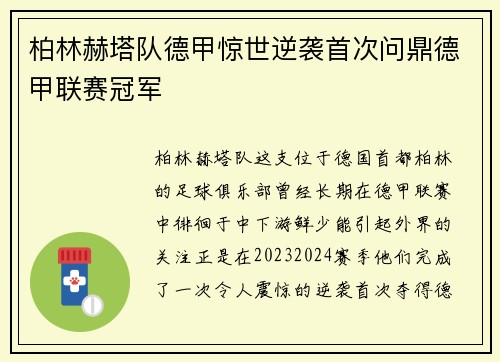 柏林赫塔队德甲惊世逆袭首次问鼎德甲联赛冠军